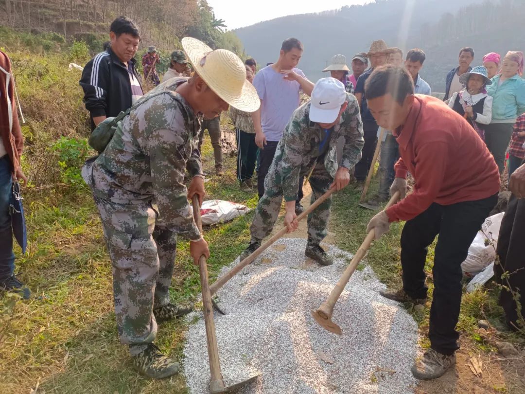 抢农时忙春耕 走甜蜜致富路