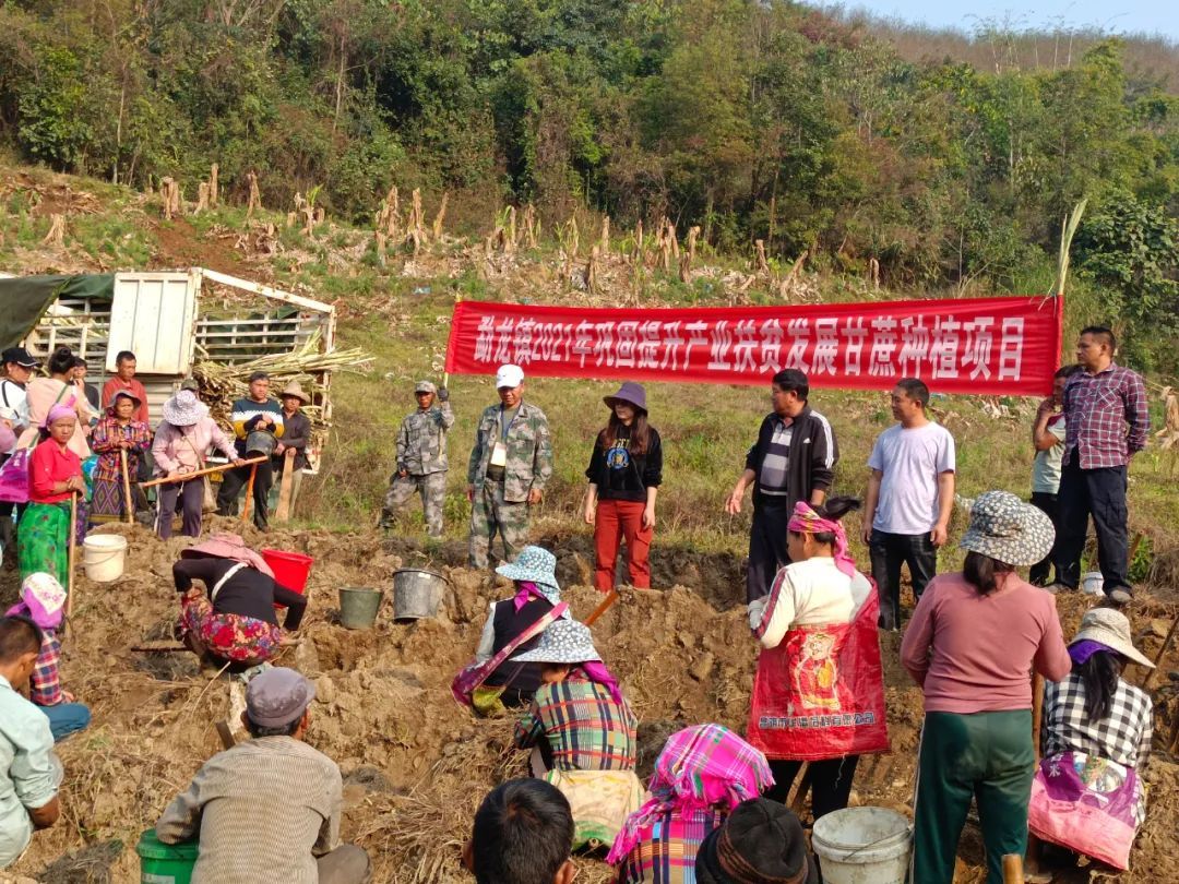 抢农时忙春耕 走甜蜜致富路