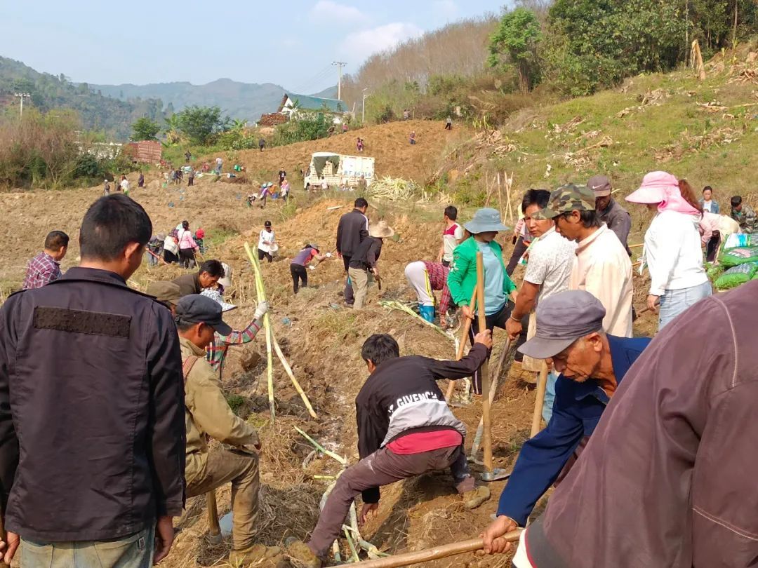 抢农时忙春耕 走甜蜜致富路