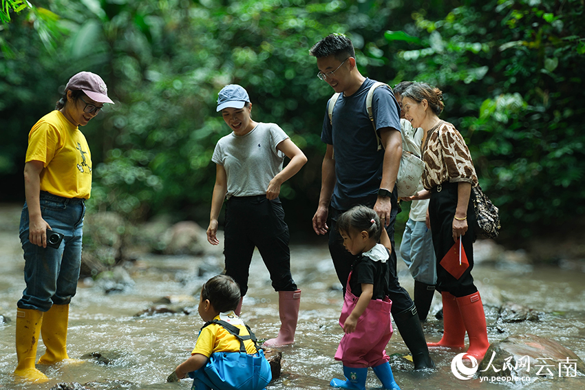 基诺山雨林徒步，正成为越来越多家庭出游的新选择。人民网-曾智慧摄
