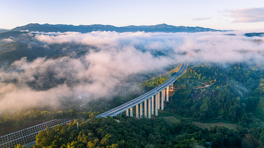 西双版纳是我国热带生态系统保存最完整的地区之一，森林覆盖率达81.34%。勐海县摄影家协会供图