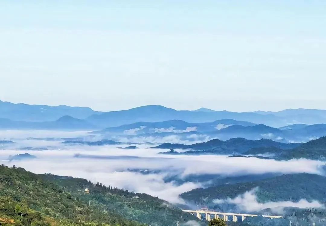 勐海南糯茶山游玩路线推荐